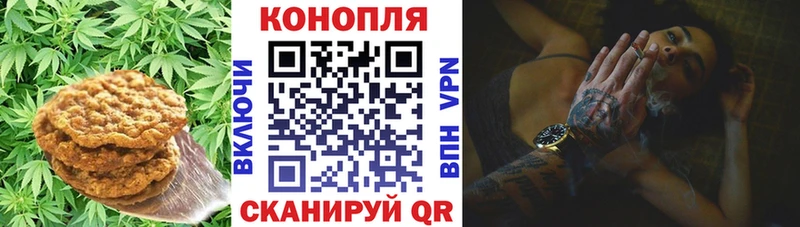 Еда ТГК марихуана  ссылка на мегу как зайти  Любим  дарнет шоп 